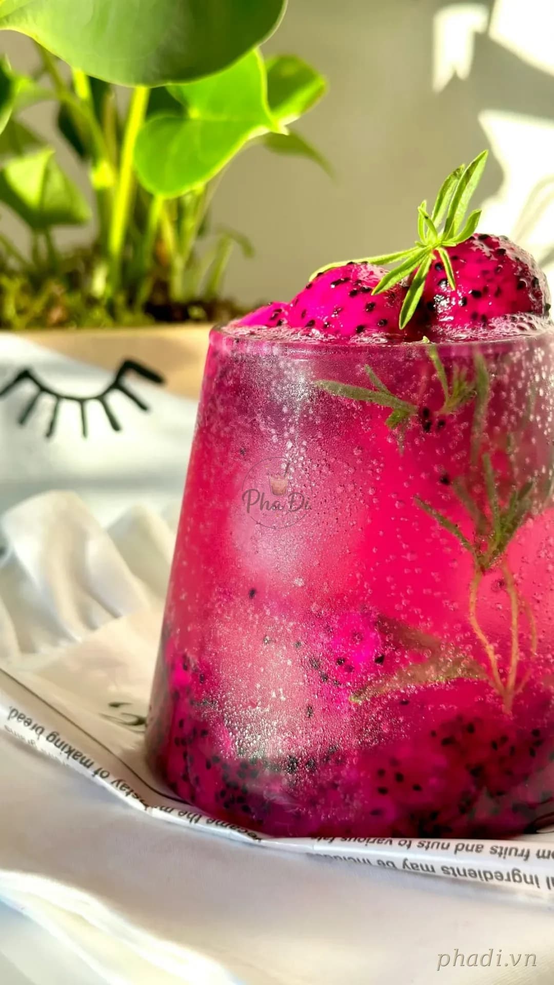 Trà nho thanh long hồng